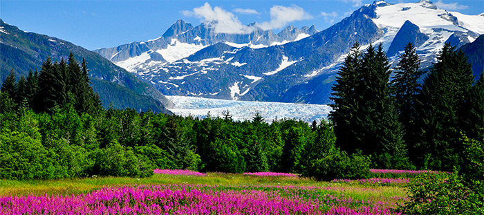 Giải nhiệt khi du lịch Mỹ mùa hè ở Alaska