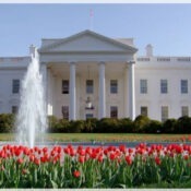 Tour_bo_dong_my_mua_hoa_anh_dao_6n5d_vietmytourist