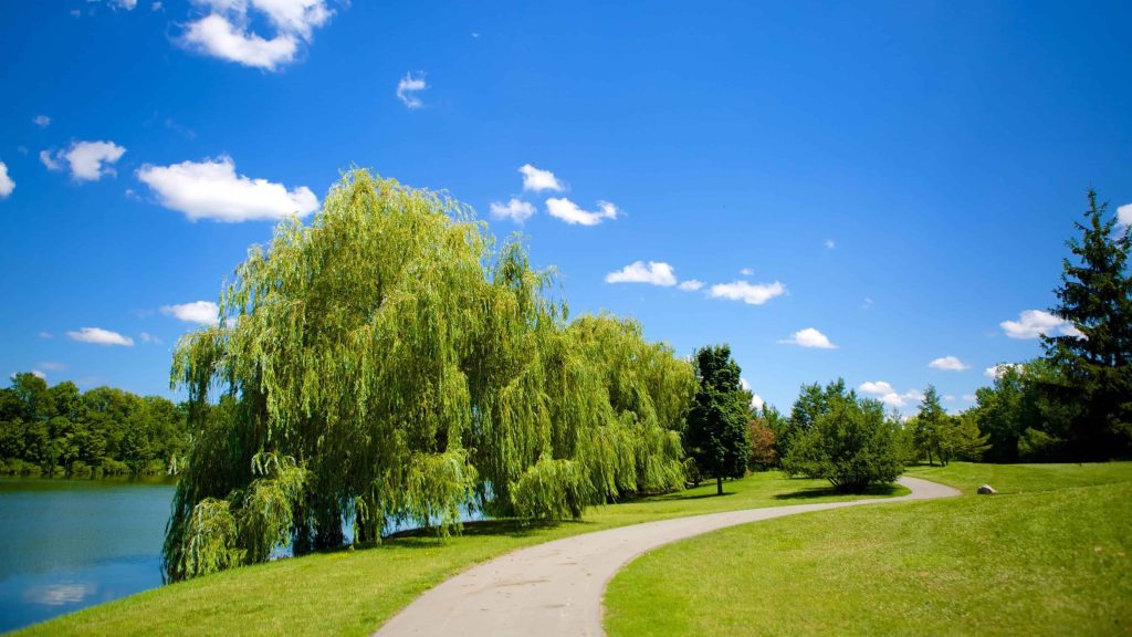 Không gian rộng lớn phù hợp với nhiều hoạt động thú vị